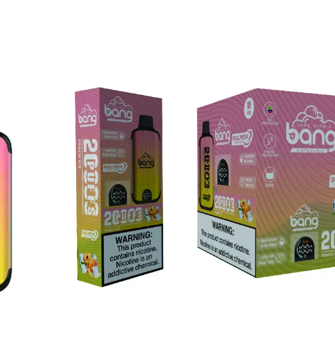 Bang 20000 Puffs New Product LED Display Disposable Vape - 24H VAPE
