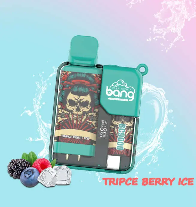 Bang Box 9000 Puffs Original Edition LED Display Disposable Vape