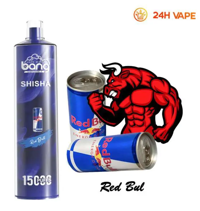 Bang SHISHA 15000 bouffes directement au stylo jetable de cigarette  lectronique de poumon nouveau Vape