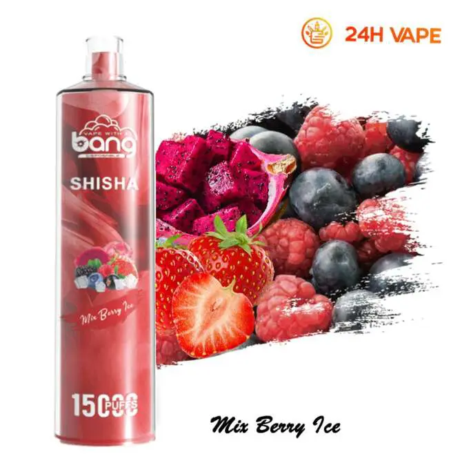 resistenza sigarette elettroniche AUPO 15000 Puffs Dual Mesh con Display LED 2% a Bassa Intensità Acquisto in  Grande Quantità Penna Vape Ricaricabile Monouso all'Ingrosso main image 1