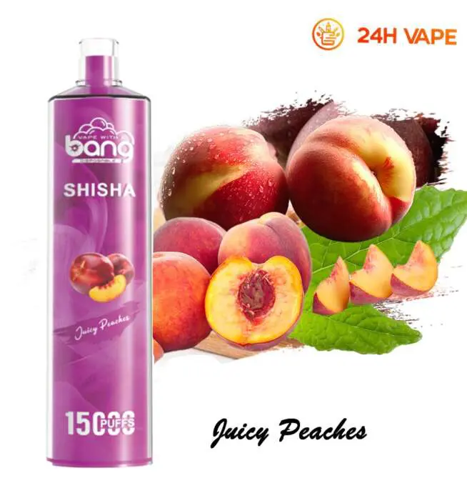 Bang SHISHA 15000 sbuffi diretti al polmone sigaretta elettronica usa e  getta nuova penna Vape