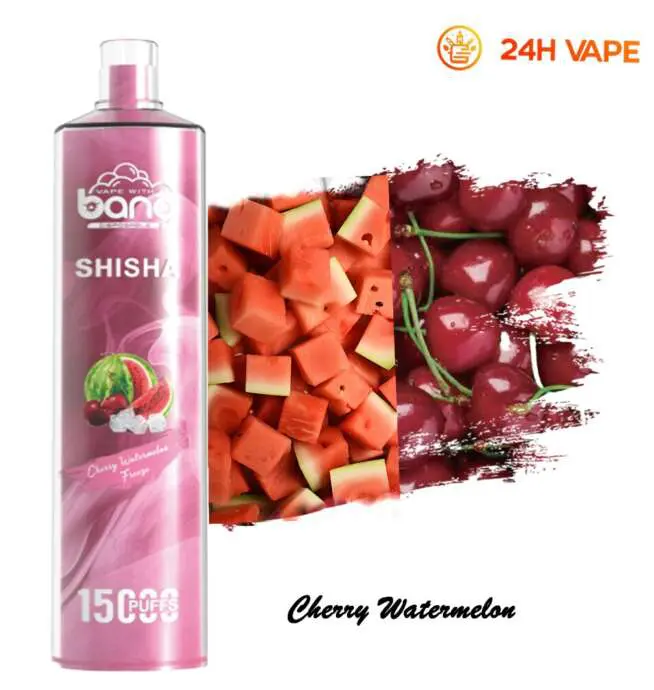 Bang SHISHA 15000 Puffs Direkt zur Lunge Einweg elektronische Zigarette  Neuer Vape Pen