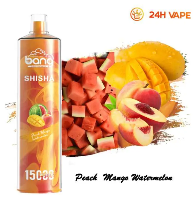 Bang SHISHA 15000 bouffées directement au stylo jetable de cigarette  électronique de poumon nouveau Vape