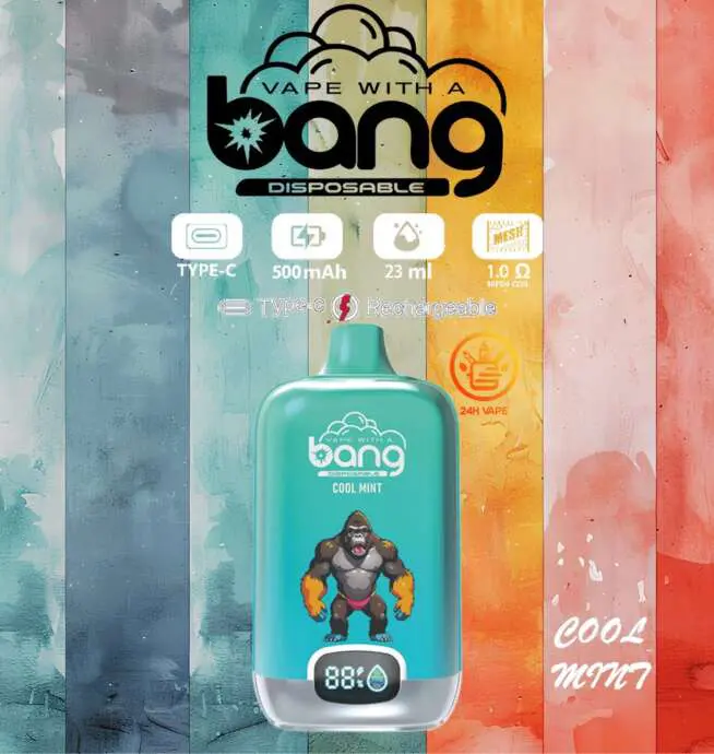 elfbar nachfüll pod läuft aus The taste of fresh mint BANG KING Digital 15000 PUFFS Cool Mint 15000 Puffs main image 0