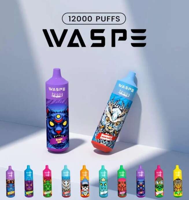 24H_Vape_WASPE_12000_Puffs_00002-654x690