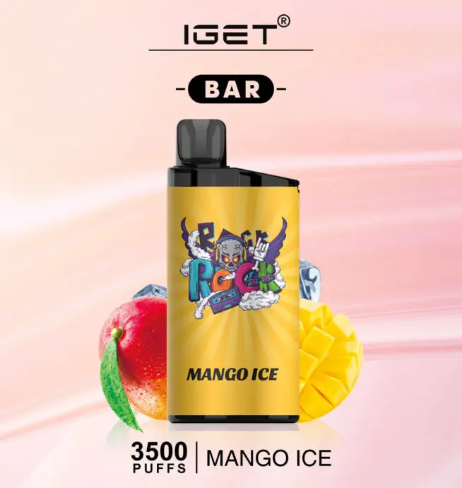 IGET Bar 3500 Puffs 5% Nicotine Disposable Vape - 24H VAPE