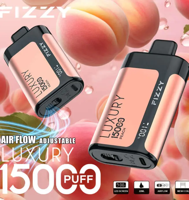Fizzy Luxury 15000 15K Puffs Original Edition LCD Display Disposable Vape -  24H VAPE