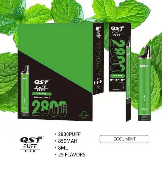 QST 2800 Puffs Original Disposable Vape Pen - 24H VAPE