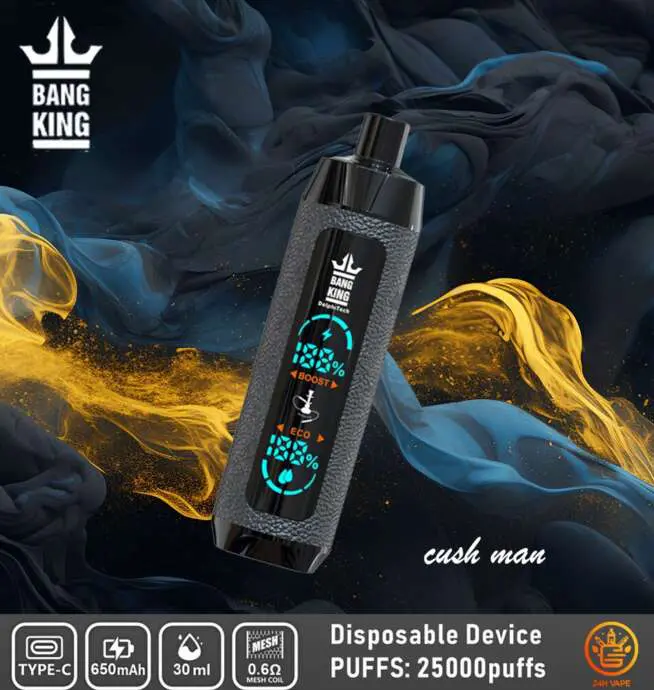 Bang King Shisha 25000 25K Puffs Newest LED Display Leather Disposable Vape  Pen
