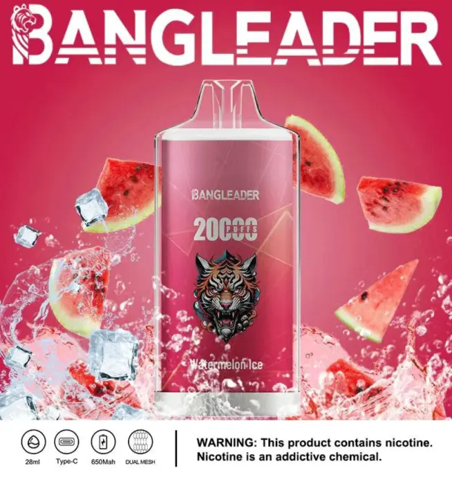 Bang Leader 20000 20K Puffs Newest Product Disposable Vape - 24H VAPE