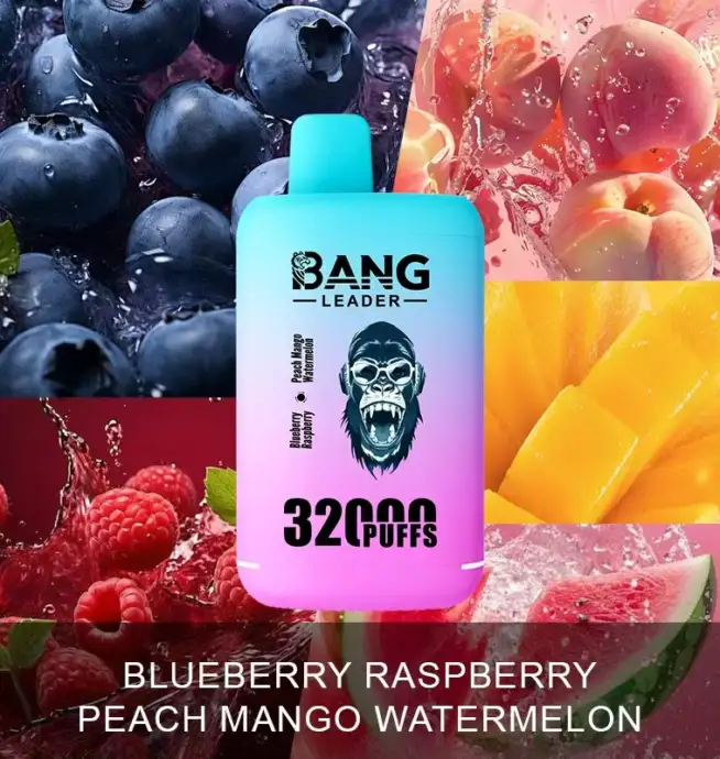 Bang Leader 32000 32k Puffs 0% 2% 3% 5% Nicotine Double Taste Disposable  Vape - 24H VAPE