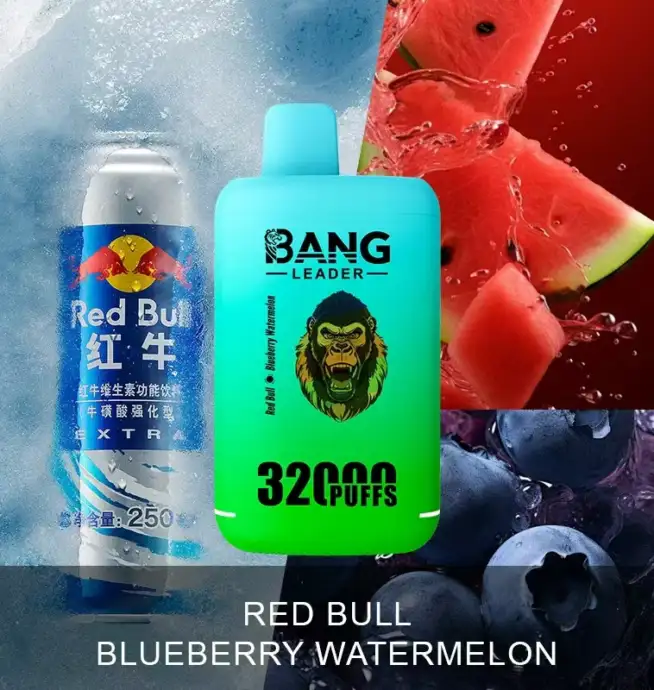 Bang Leader 32000 32k Puffs 0% 2% 3% 5% Nicotine Double Taste Disposable  Vape