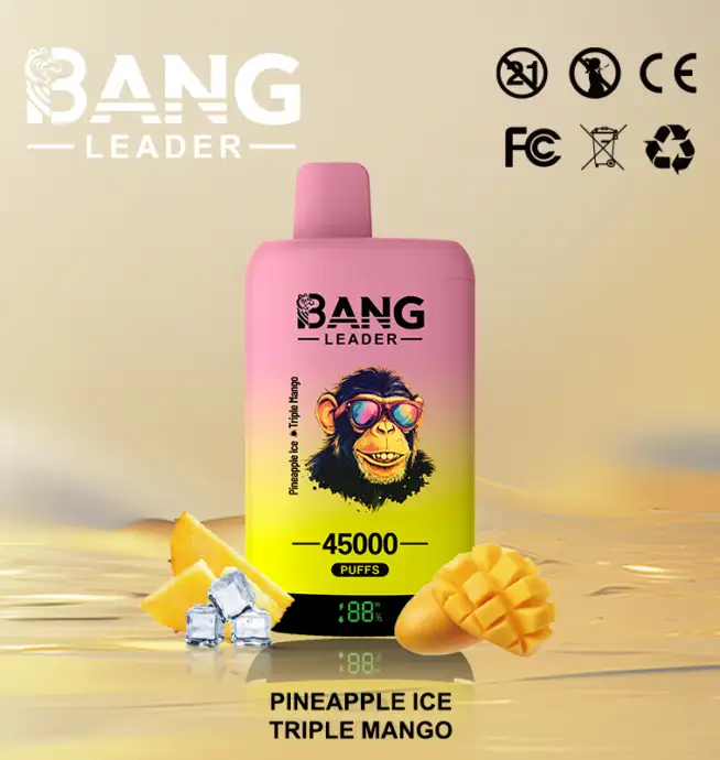 Bang Leader 45000 45K Puffs 2% 3% 5% Nicotine Double Taste LED Display  Disposable Vape
