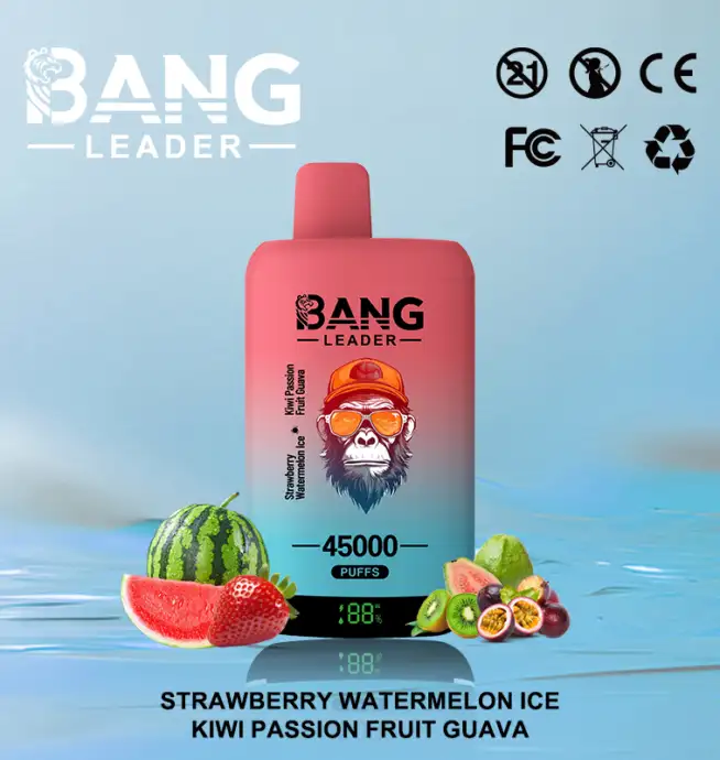 Bang Leader 45000 45K Puffs 2% 3% 5% Nicotine Double Taste LED Display  Disposable Vape