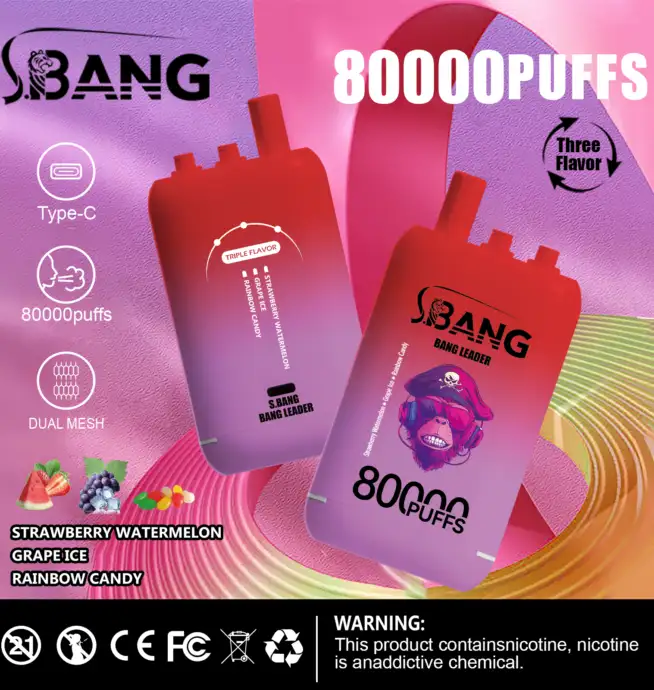 elfbar elfa master akku Bang Leader 80000 80K Puffs 3 in 1 Flavors Newest Original Rechargeable  Disposable Vape