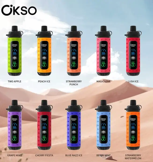 OKSO ShiSha Max 40000 40K Puffs Newest LED Display Leather Disposable Vape  Pen - 24H VAPE