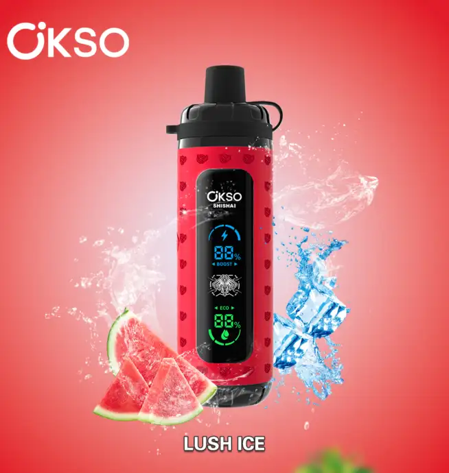 OKSO ShiSha Max 40000 40K Puffs Neuester LED-Display-Leder-Einweg-Vape-Pen  - 24H VAPE