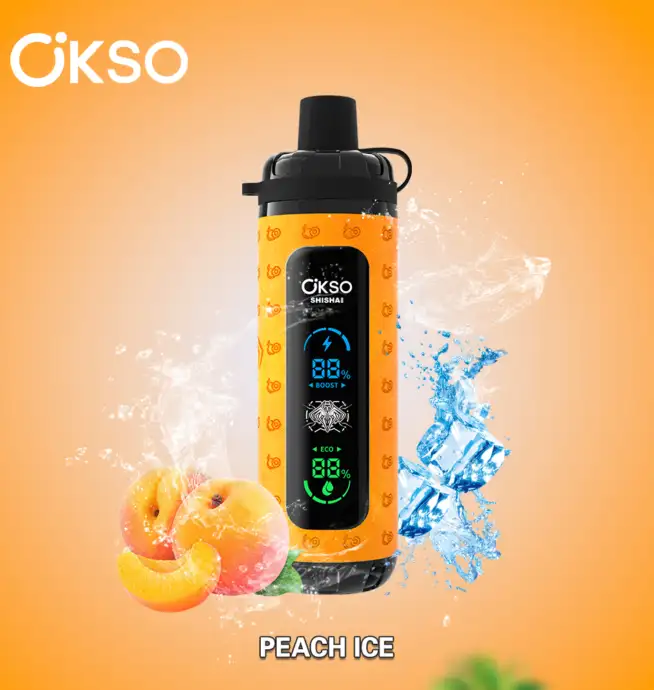 OKSO ShiSha Max 40000 40K Puffs Newest LED Display Leather Disposable Vape  Pen - 24H VAPE