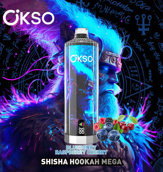 OKSO Shisha Hookah Mega 50 000 bouffées, stylo vape jetable à affichage  LED, original et dernier cri