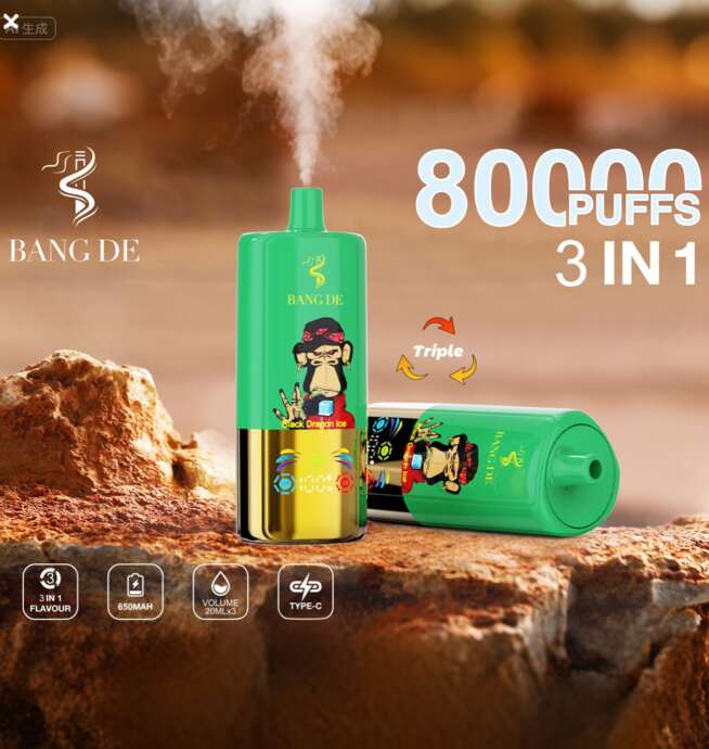Bang De 3-in-1-Einweg-Vape-Gerät in Grün mit illustriertem Charakterdesign, das 80.000 Züge verspricht, auf einer felsigen Oberfläche platziert ist und Produktmerkmale wie 3 Geschmacksrichtungen, 650-mAh-Akku, 20 ml x 3 Volumen und Typ-C-Ladefunktion anzeigt.