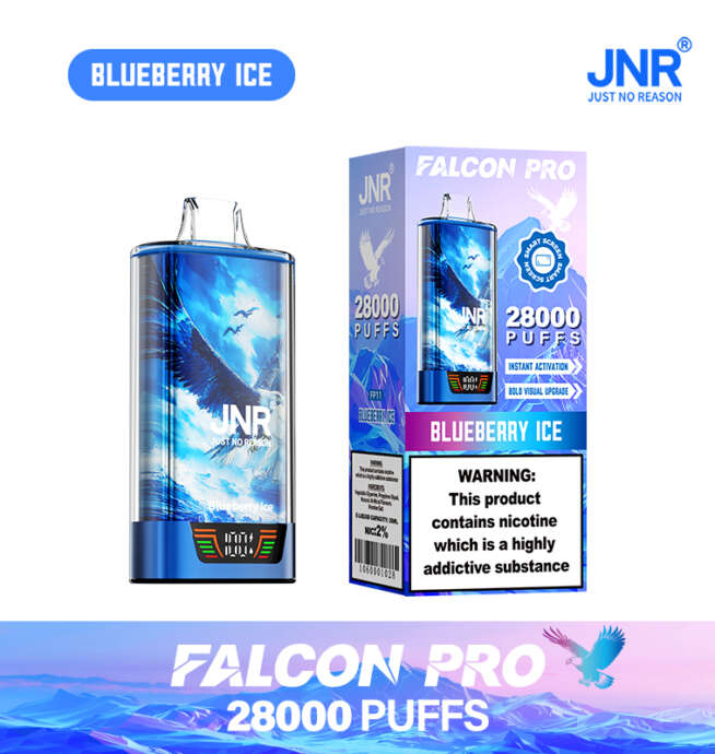 JNR Falcon Pro Blueberry Ice Vape-Gerät und seine Verpackung mit 28.000 Zügen, blauem Adler-Design und Warnhinweis zur Nikotinsucht.