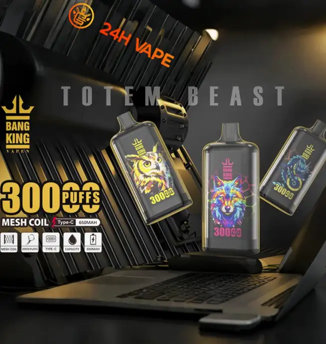 Bang King Crystal 30000 30K Puffs 2% 3% 5% Nicotine Hottest Disposable Vape  - 24H VAPE