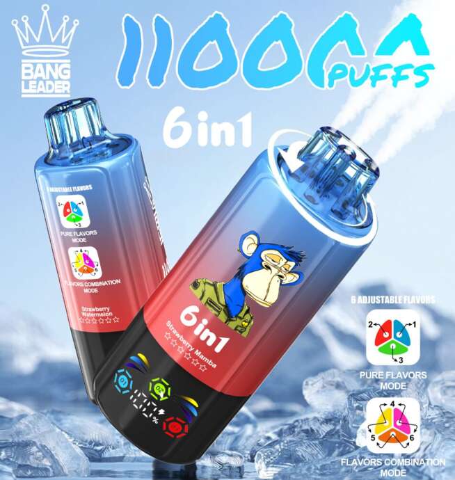 bang leader 110000 110k puffs 6 in 1 flavors newest original rechargeable led display disposable vape