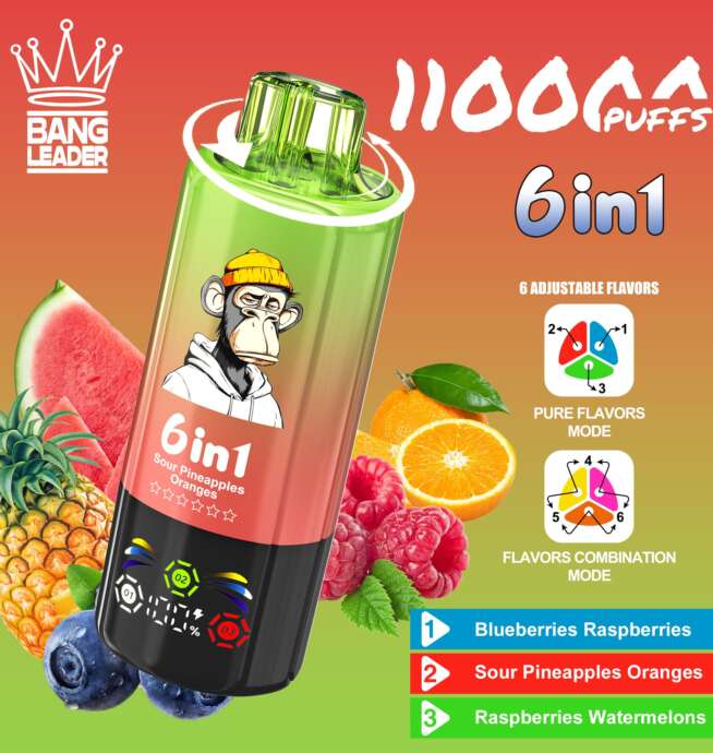 bang leader 110000 110k puffs 6 in 1 flavors newest original rechargeable led display disposable vape