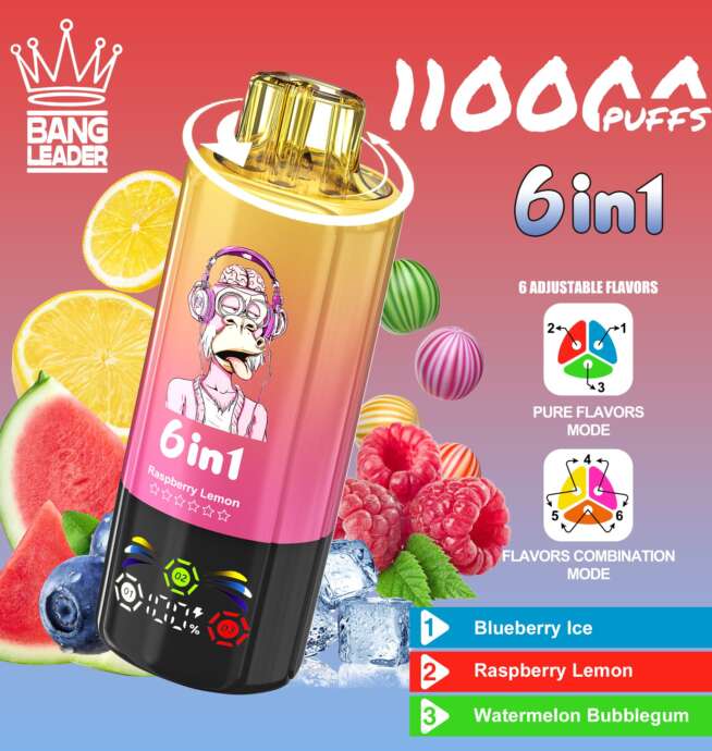 bang leader 110000 110k puffs 6 in 1 flavors newest original rechargeable led display disposable vape