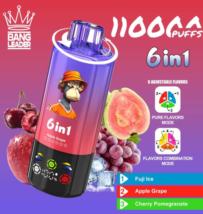 bang leader 110000 110k puffs 6 in 1 flavors newest original rechargeable led display disposable vape