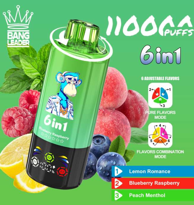 bang leader 110000 110k puffs 6 in 1 flavors newest original rechargeable led display disposable vape