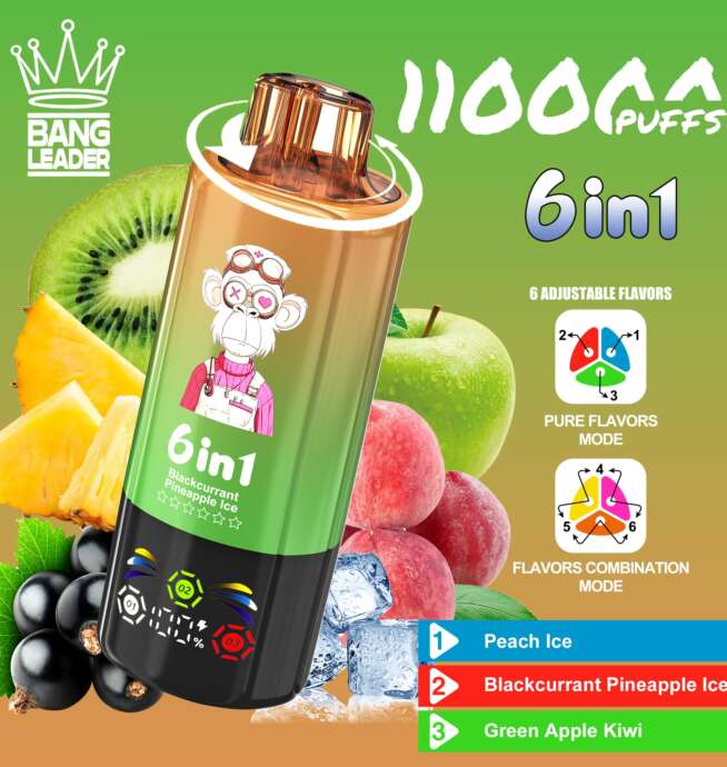 bang leader 110000 110k puffs 6 in 1 flavors newest original rechargeable led display disposable vape