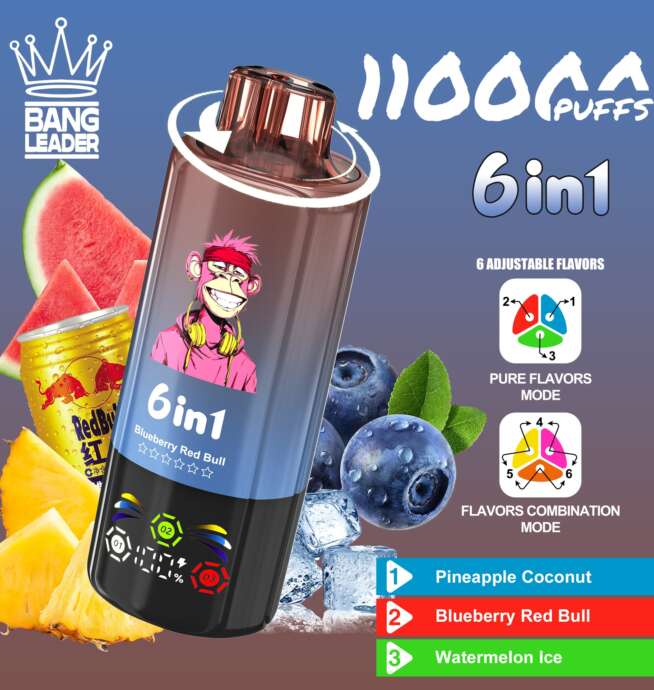 bang leader 110000 110k puffs 6 in 1 flavors newest original rechargeable led display disposable vape