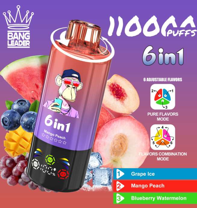bang leader 110000 110k puffs 6 in 1 flavors newest original rechargeable led display disposable vape