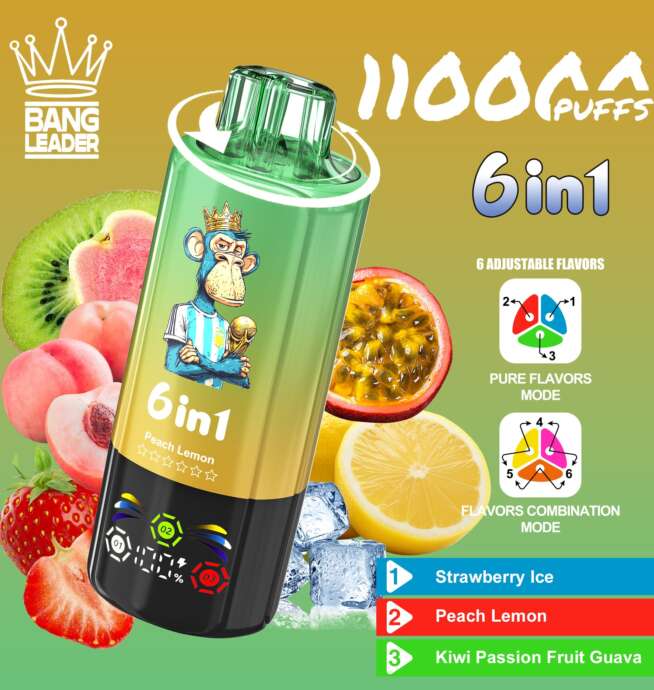 bang leader 110000 110k puffs 6 in 1 flavors newest original rechargeable led display disposable vape
