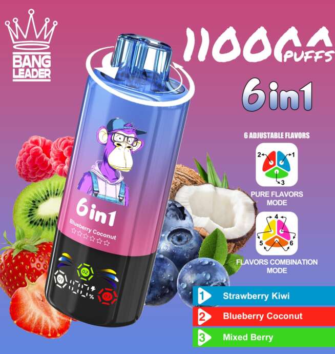 bang leader 110000 110k puffs 6 in 1 flavors newest original rechargeable led display disposable vape
