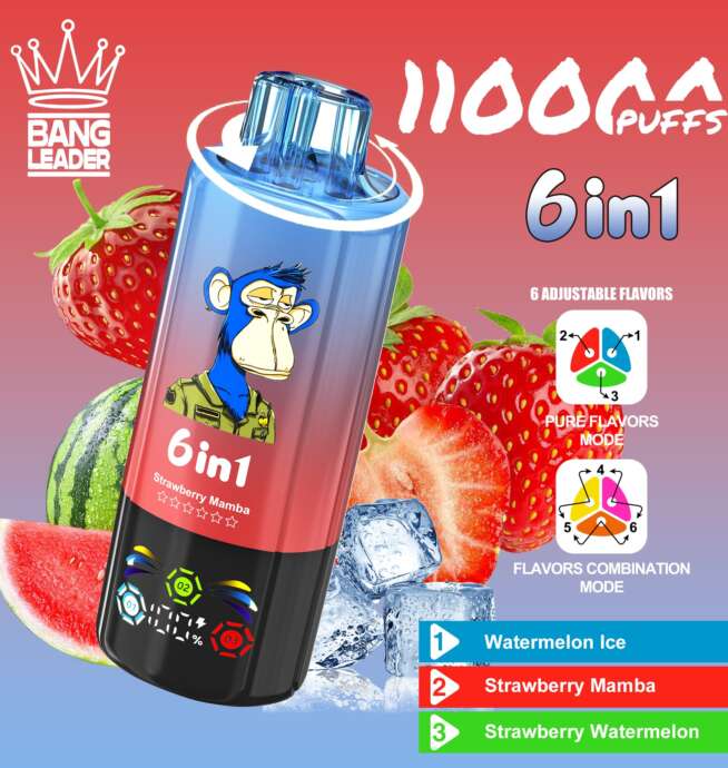 bang leader 110000 110k puffs 6 in 1 flavors newest original rechargeable led display disposable vape