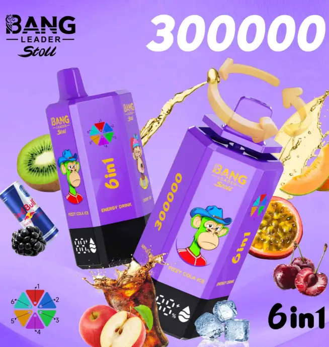 Bang Leader 300K 300000 パフ 6-in-1 フレーバー 充電式 LED