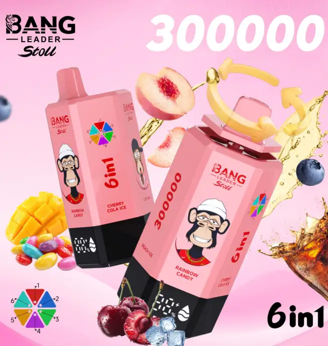Bang Leader 300K 300000 Puffs 6-in-1 Flavors Rechargeable LED Display  Disposable Vape - 24H VAPE