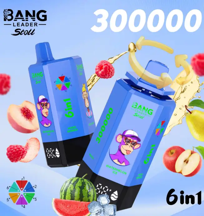 Bang Leader 300K 300000 Puffs 6-en-1 Saveurs cran LED rechargeable Vape  jetable - 24H VAPE