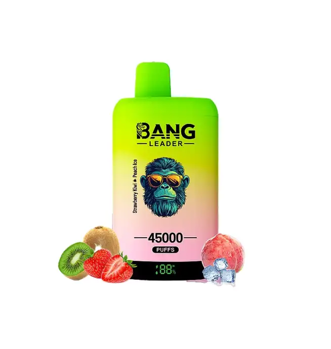 Bang Leader 45000 45K Puffs Double Got Affichage LED Vape jetable  rechargeable Entrept de l'UE - 24H VAPE