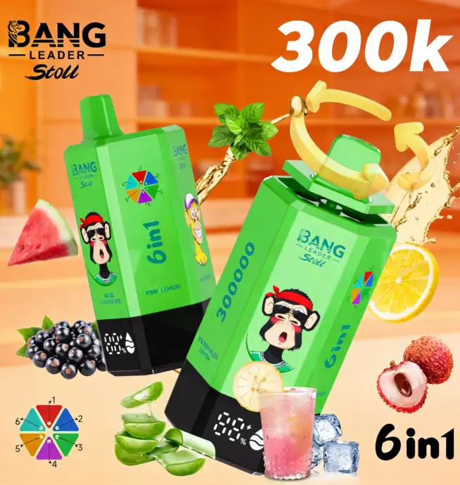 vape liquid selbst mischen Bang Leader 300K 300000 Puffs 6 in 1 Geschmacksrichtungen & 6 Öltanks  Wiederaufladbares LCD-Display Einweg-Vape EU-Lager – 24H VAPE