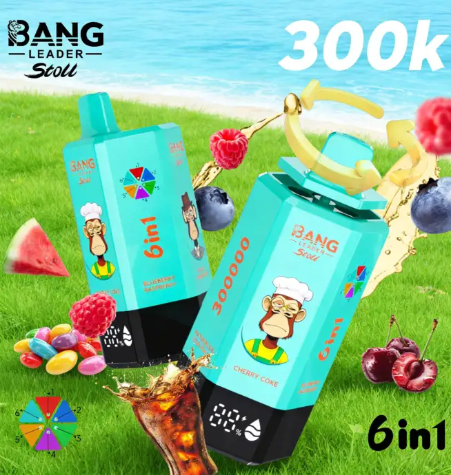Bang Leader 300K 300000 Puffs 6 in 1 Geschmacksrichtungen & 6 ltanks  Wiederaufladbares LCD-Display Einweg-Vape EU-Lager  24H VAPE
