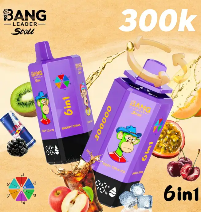 Bang Leader 300K 300000 Puffs 6 in 1 Flavors & 6 oil tanks Rechargeable LCD  Display Disposable Vape EU Warehouse
