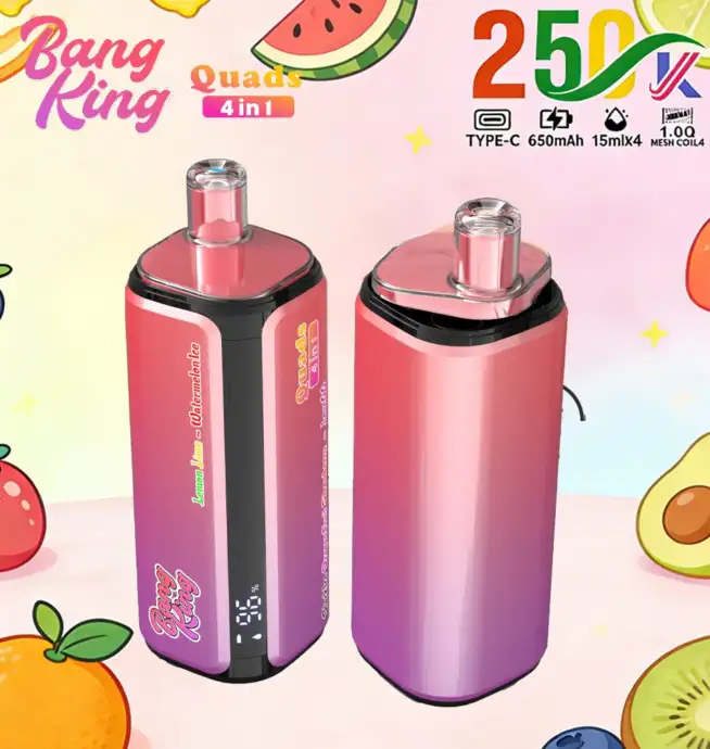 Bang King 250000 250K パフ 4 In 1 フレーバー オリジナル 充電式 LED