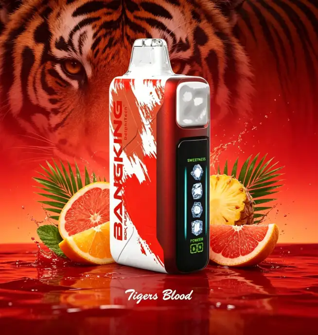 Bang King Ice Cool 60000 60K Puffs Adjustable Ice Level LED Display Disposable  Vape Japan warehouse - 24H VAPE