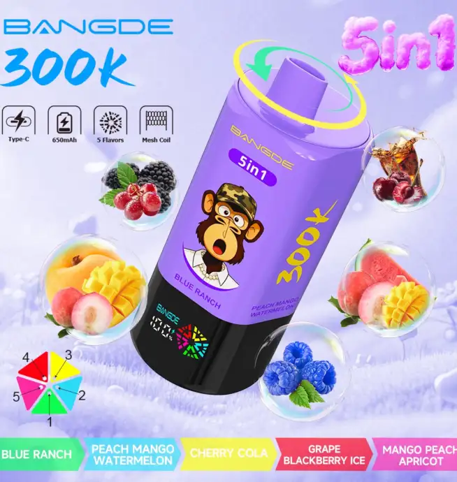 ranch flavored vape Bang DE 300K 300000 5-in-1 Flavors Rechargeable LED Display Disposable E-Cigarette 3PL10TIER Dot Space Bar 20000 Puffs:Pumpkin Cream Cake Instafill 3500 Disposable Vape